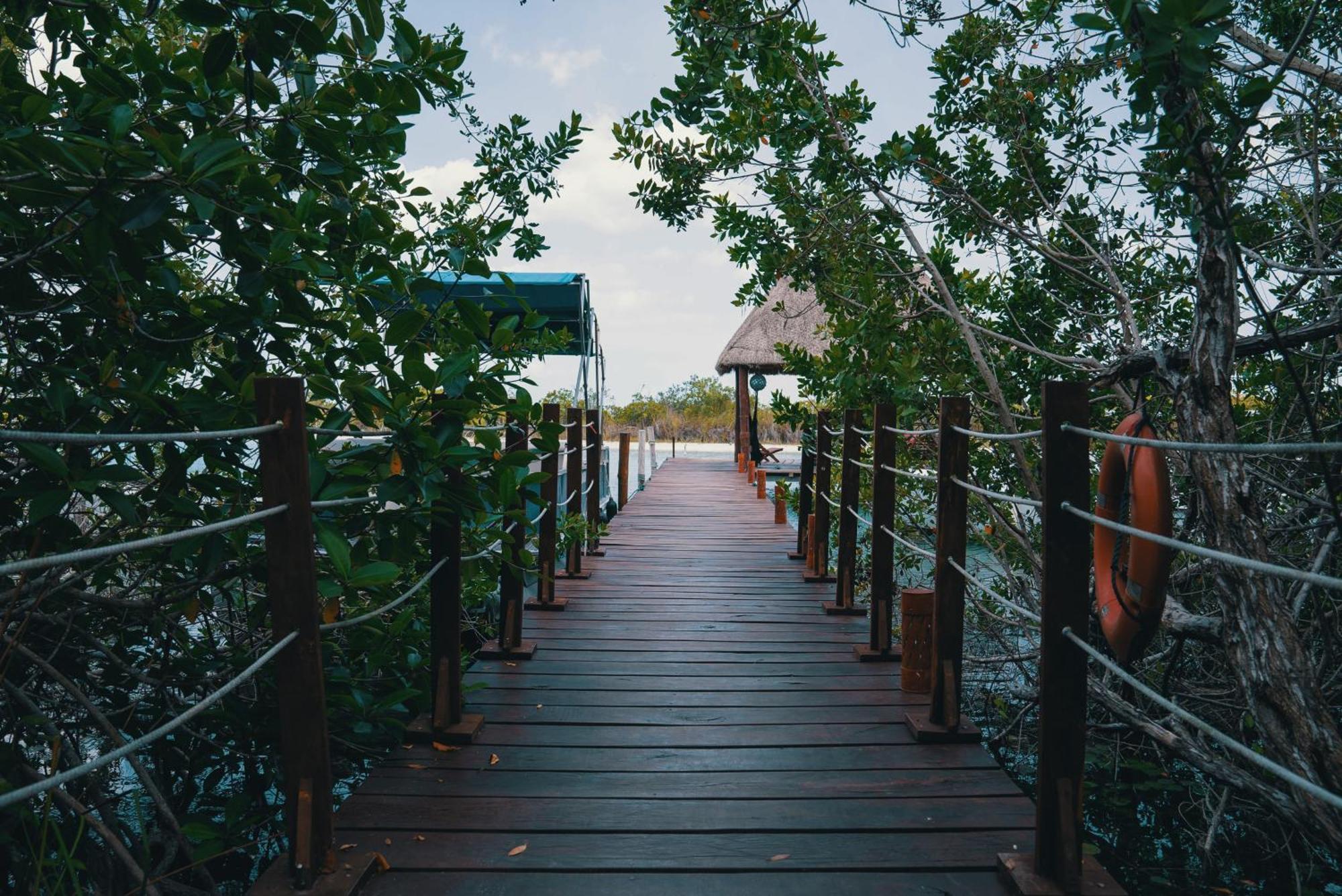 Bluebayou باكالار المظهر الخارجي الصورة